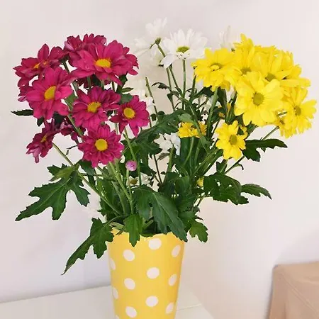 Appartamento Rubesi *